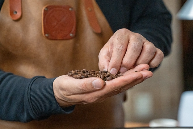 Handen van een koffiebrander die gebrande koffiebonen inspecteert.