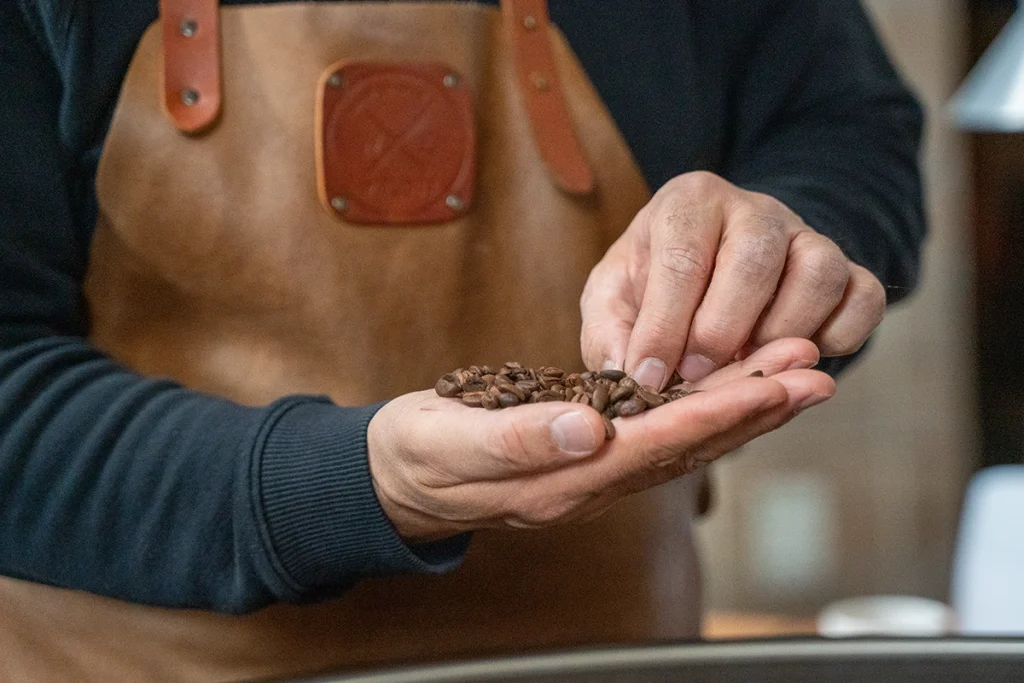 Handen van een koffiebrander die vers gebrande koffiebonen controleert in de branderij van Lorando & Morini.