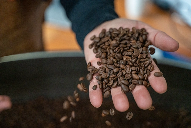 Hand met vers gebrande koffiebonen boven de koelbak van een koffiebrander.